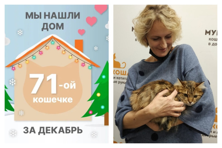 Кошечка Марся отправилась домой спустя полтора месяца!