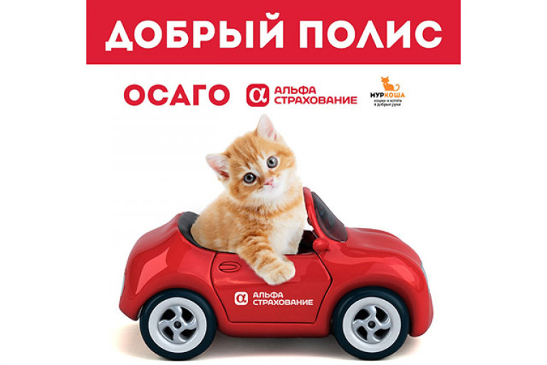 Поддержать работу нашего центра теперь можно с помощью ОСАГО