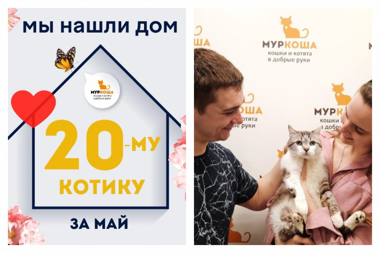 Пятилетний котик Тюдор встретил свою семью!