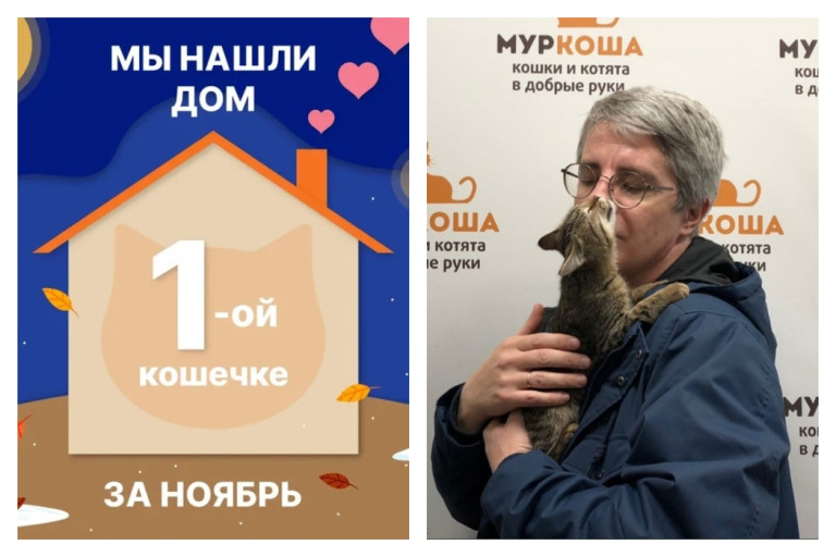 Отважная кошечка Гугляша начинает домашнюю жизнь!