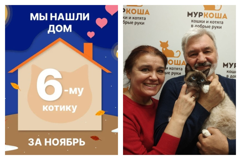Котик Сёмыч получил свой второй шанс на домашнее счастье!
