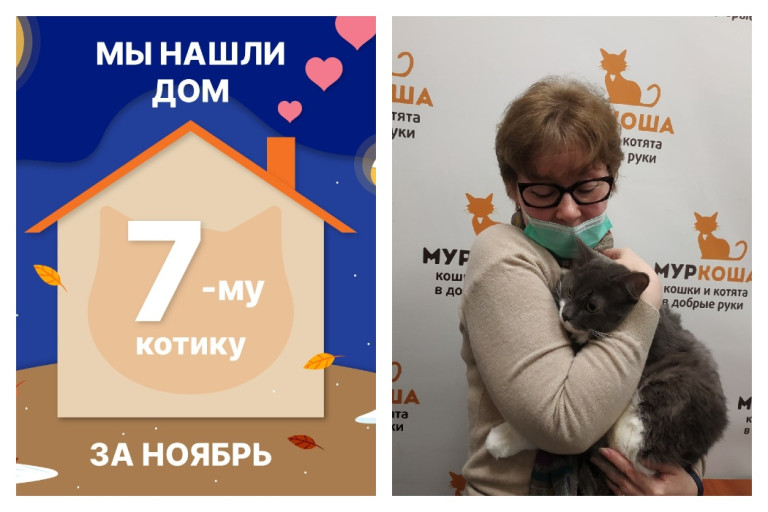 Котик Никсон начинает новую жизнь!
