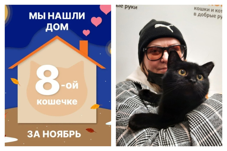 Кошечка Юнька начинает счастливую жизнь дома!