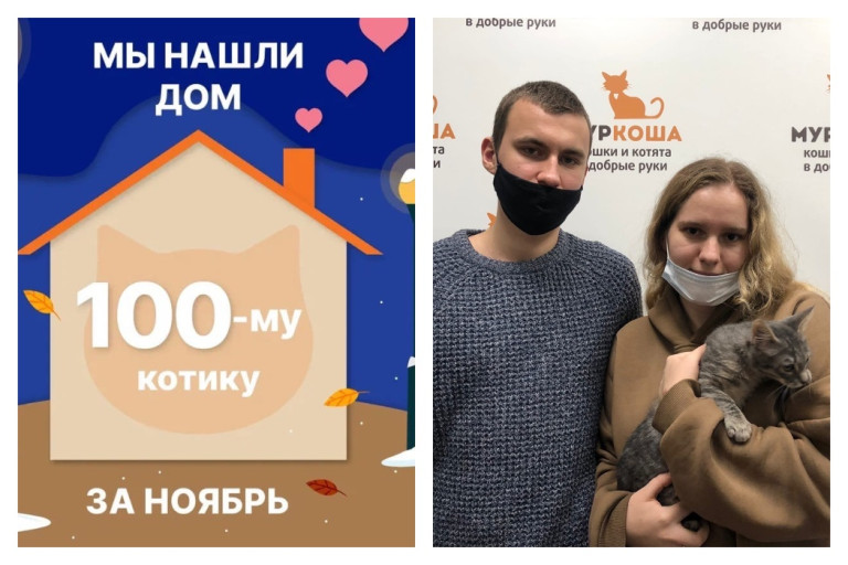 Уличный котенок Кебабчик спустя два месяца в приюте стал домашним!