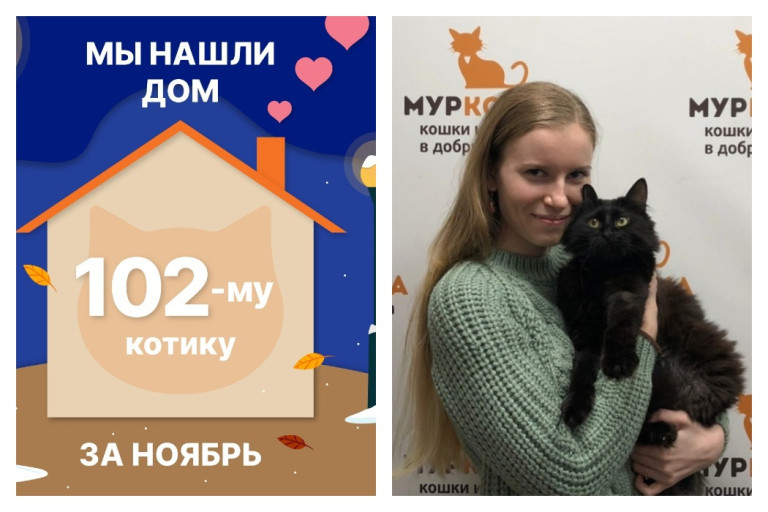 У семилетнего кота Спонжика появилась заботливая хозяйка!