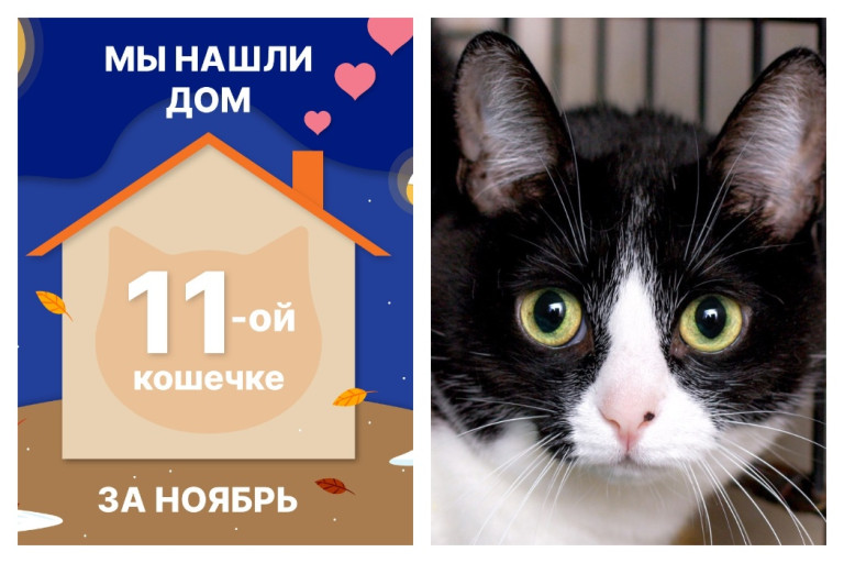 Милая Шпуся начинает жизнь с чистого листа!