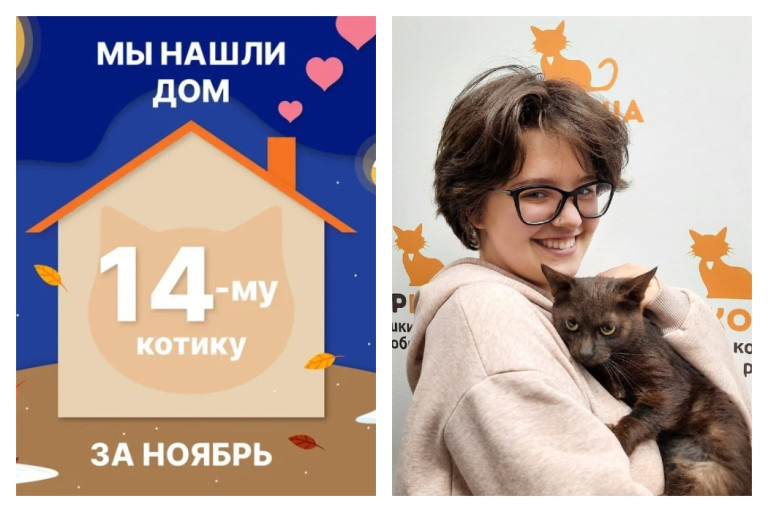Годовалый кот Усачик встретил заботливую хозяйку!