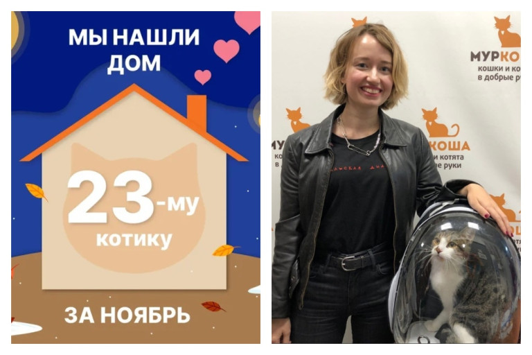 Котик Сарделькин начинает счастливую жизнь дома!