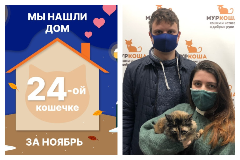 Кошечка Пуховка уезжает в новый дом!