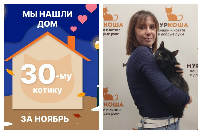 Котик Мотылёк отправился в домашнюю сказку!
