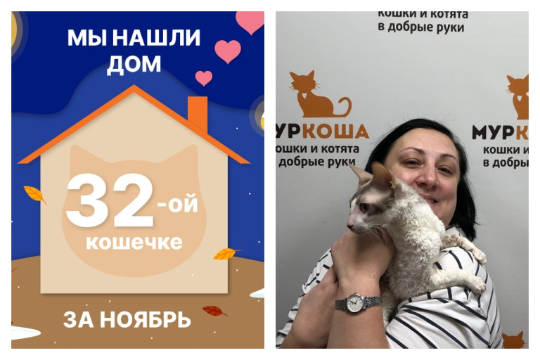 Кошечка Сабинна нашла новый дом за полтора месяца!