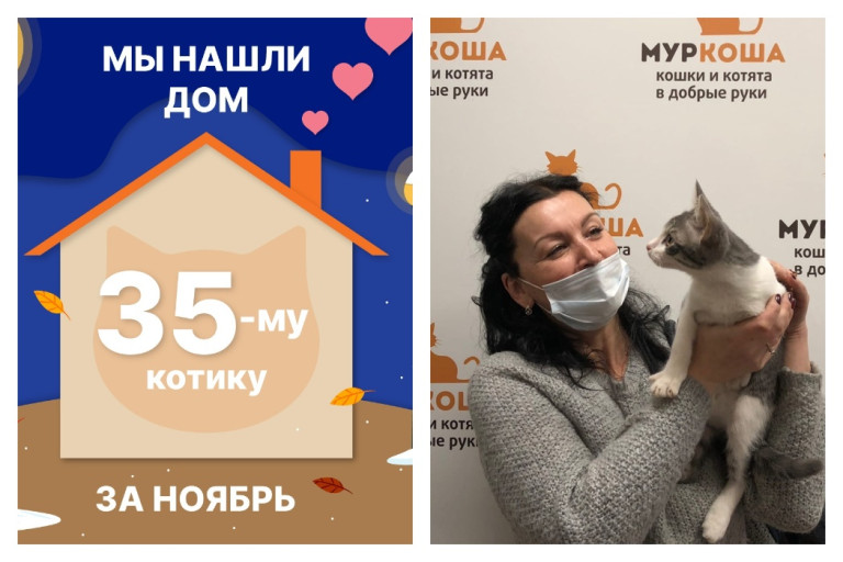Малыш Тарахтуль стал домашним за три дня!