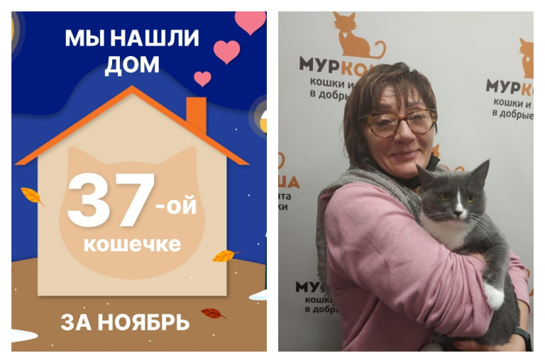 Кошечка Влада стала домашней за полтора месяца!