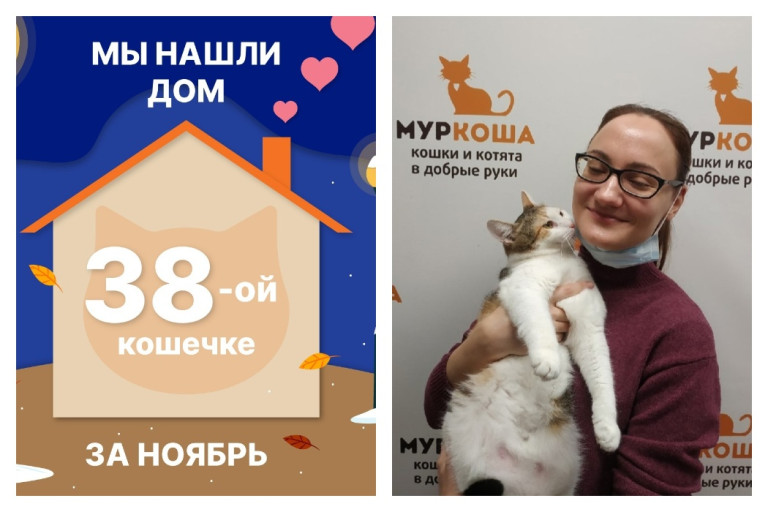 У кошечки Кунцы появились дом и семья!