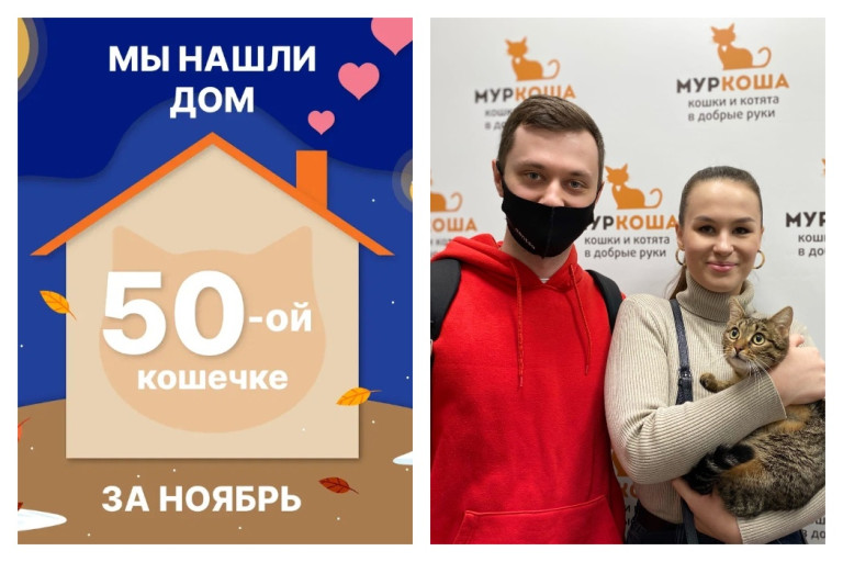Кошечка Тростинка начинает домашнюю жизнь!