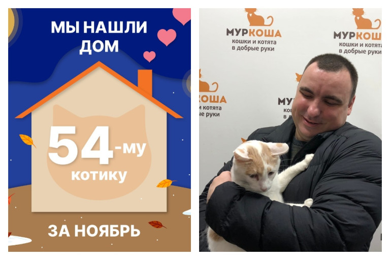 Котик Прованс снова домашним и счастливым!