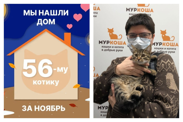Котик Казюкас отправился в новый дом!