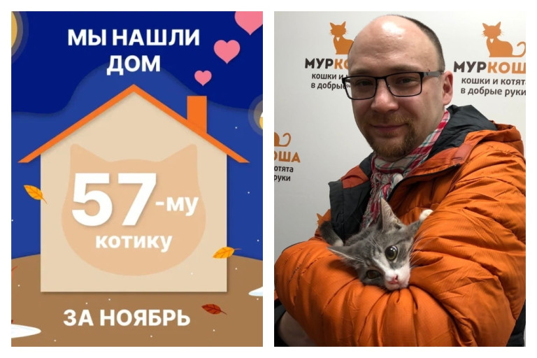 У котика Грэйчика теперь есть дом и семья!
