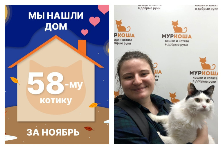 Котик Пледик стал домашним и счастливым!