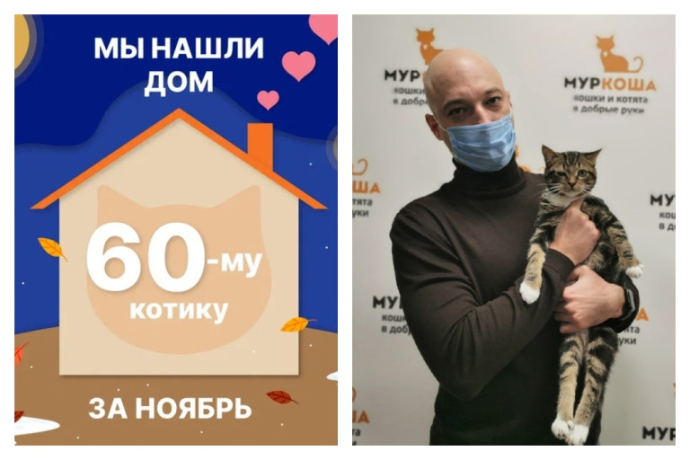 Котик Акиро начинает счастливую жизнь дома!