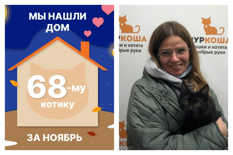 Малыш Вкусняш стал домашним за два месяца!