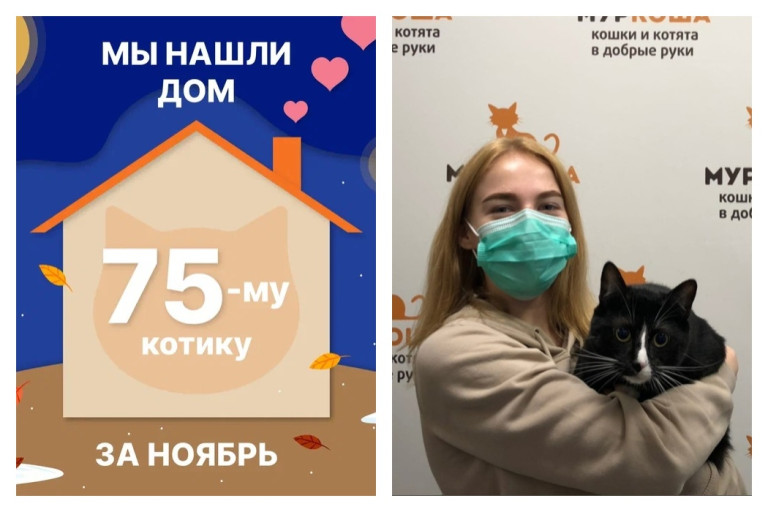 Котик Топотун начинает домашнюю жизнь!