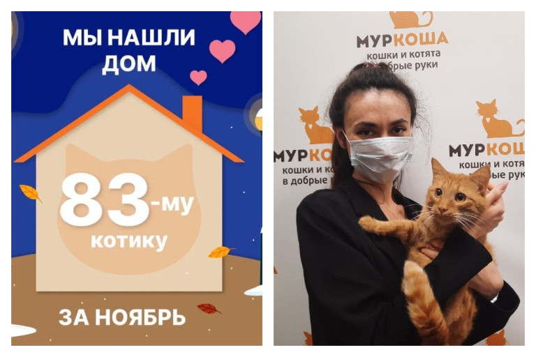Рыжий кот Грант нашёл дом за два месяца!