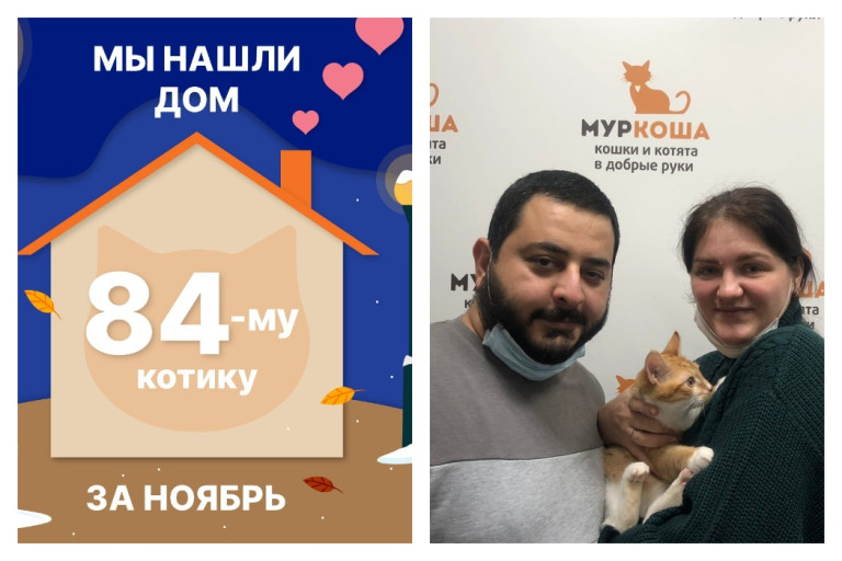 Котик Сырчик стал домашним любимцем за два месяца!