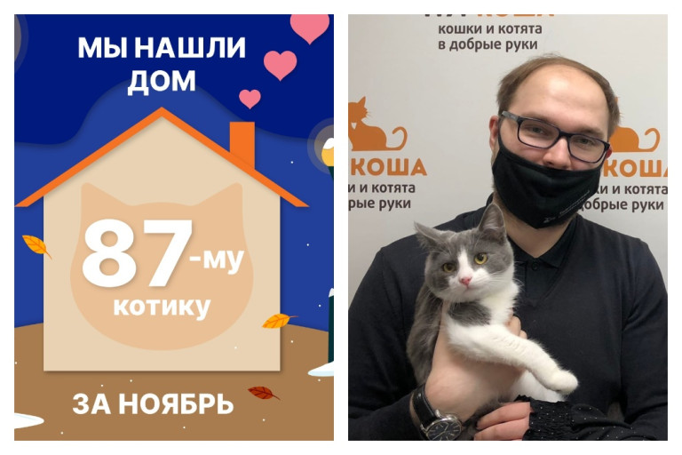 Милый Перельман нашел дом за два месяца с хвостиком!