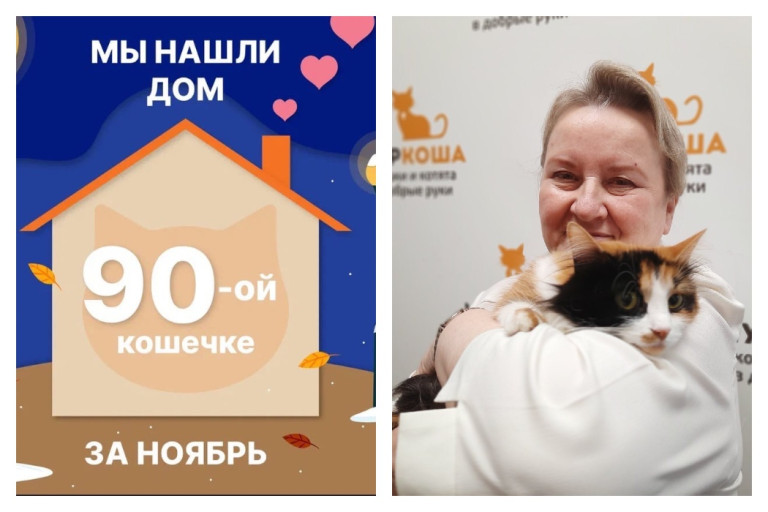 Кливия начинает новую жизнь!