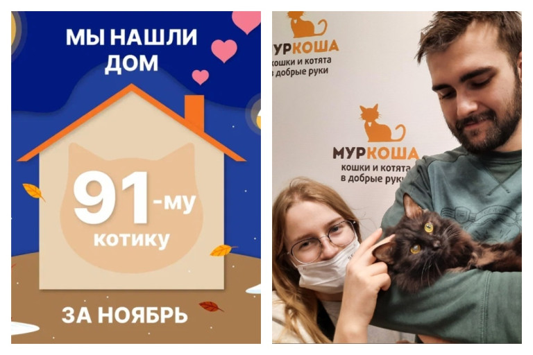 Котик Ньютон начинает долгожданную жизнь дома!