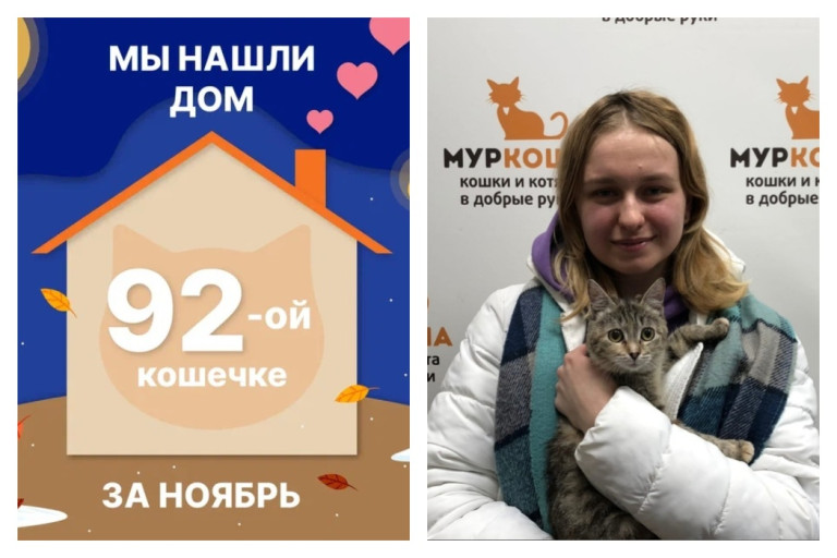 Кошечка Заюша рада познакомить со своей хозяйкой!