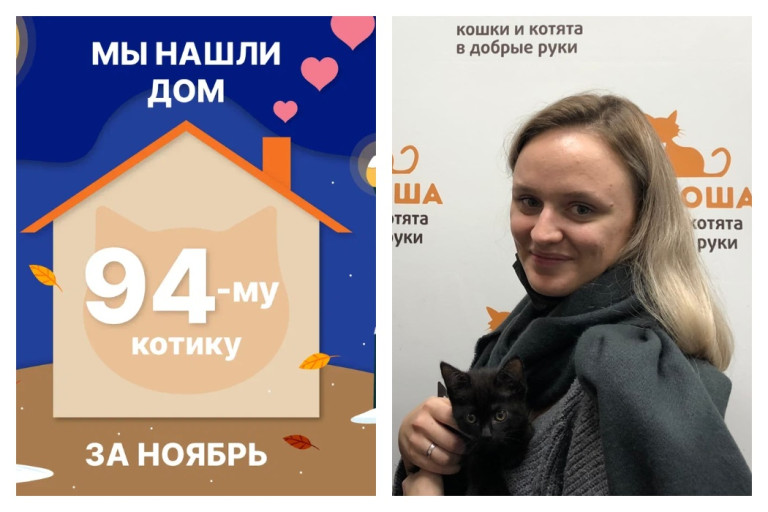 Чемпион по скорости малыш Чанга нашел дом за одну неделю!