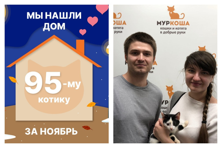 Крошка Бигбой стал домашним за две недели!