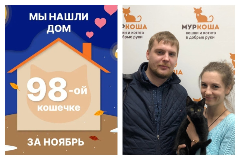 Кошечка Гипатия стала домашней любимицей!
