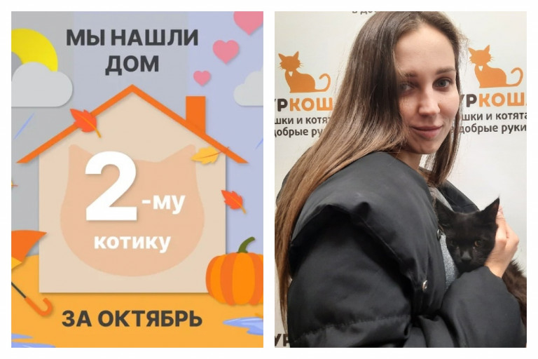 Кот Басик встретил свою прекрасную хозяйку!