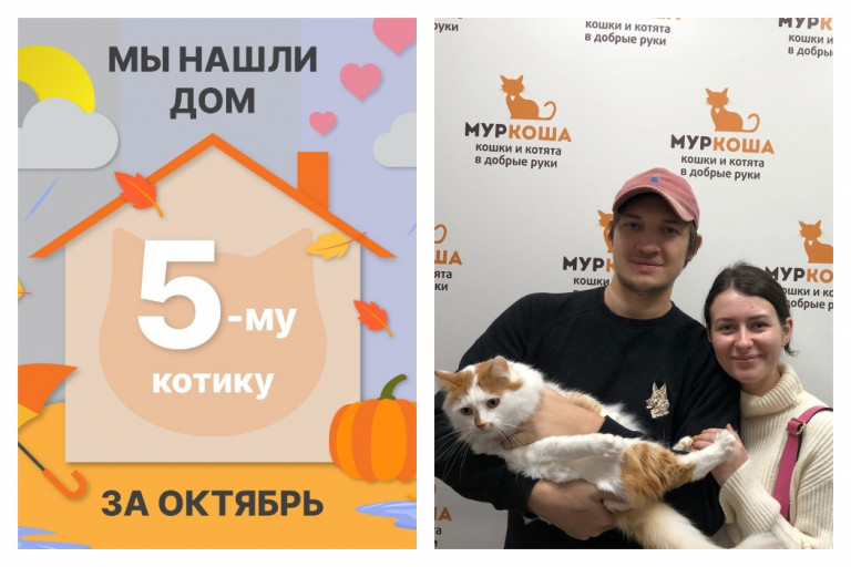 Красавец Мумитроль уезжает в новый дом!