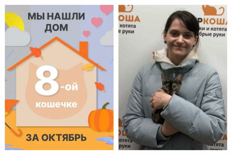 Кошечка Фудзи встретила заботливую хозяйку!