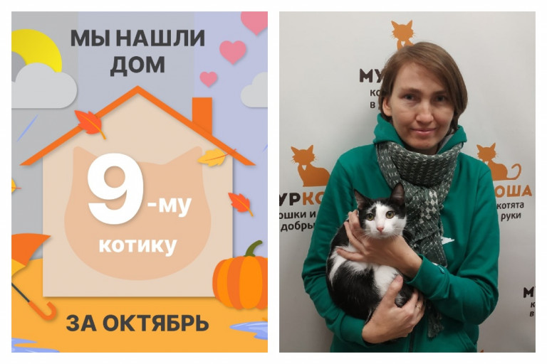 Котик Евгеша стал домашним любимцем!