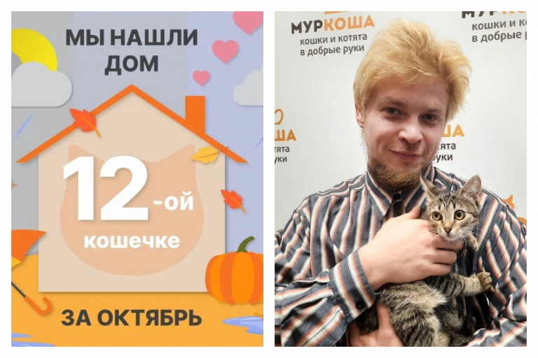 Кошечка Анетти начинает домашнюю жизнь!