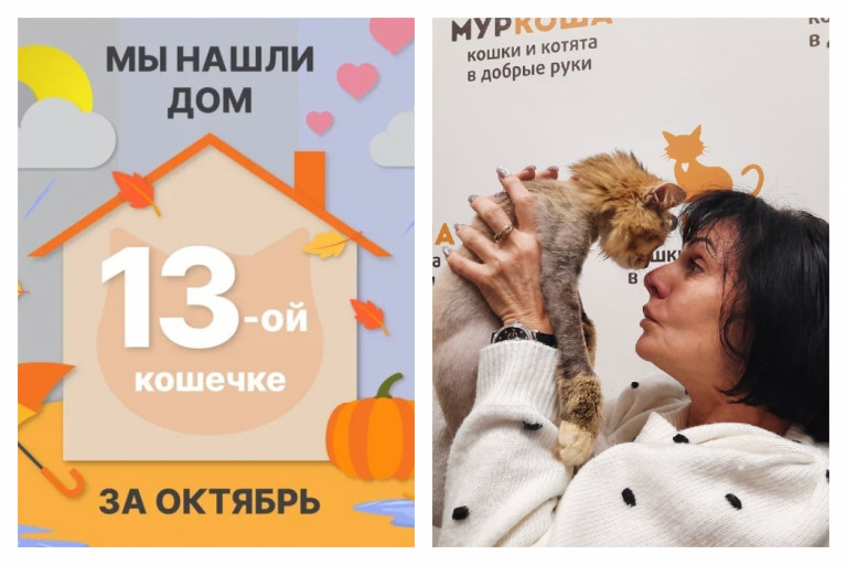 У кошечки Виноградинки появилась заботливая хозяйка!