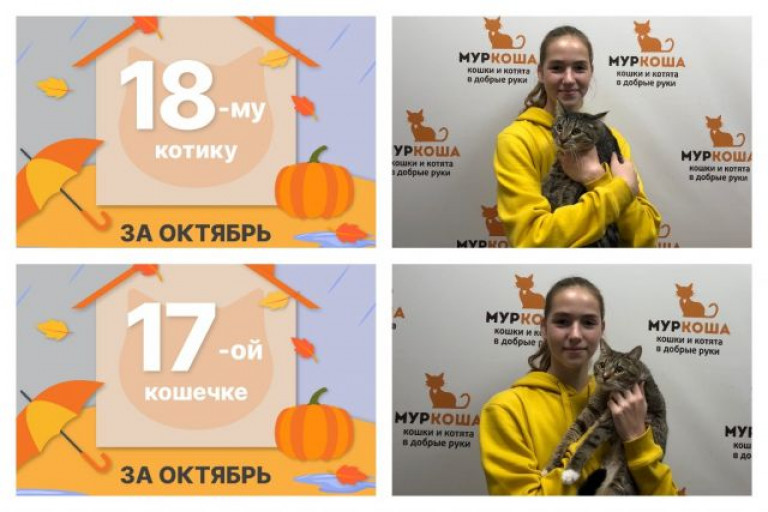Котики Янис и Сурия уезжают вместе в один дом!