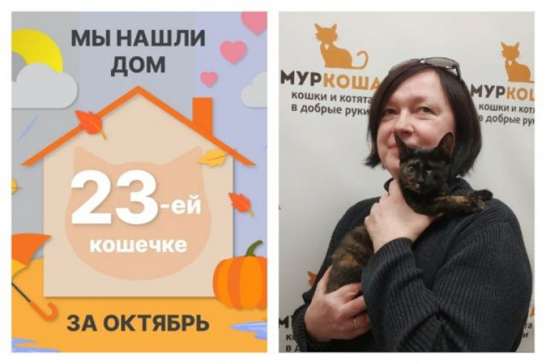 Кошечка Егоза стала домашней и любимой!