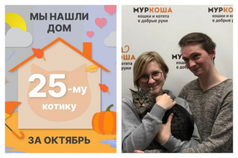 Котик Барсений начинает счастливую домашнюю жизнь!