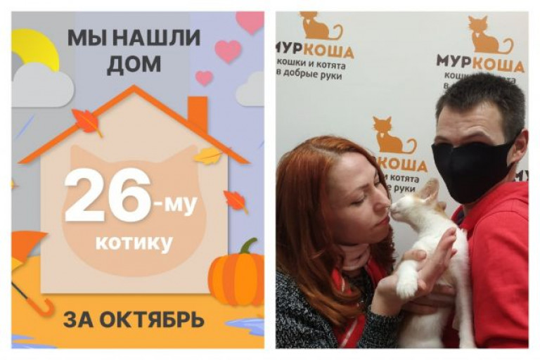 Малыш Бананчик стал домашним котиком!