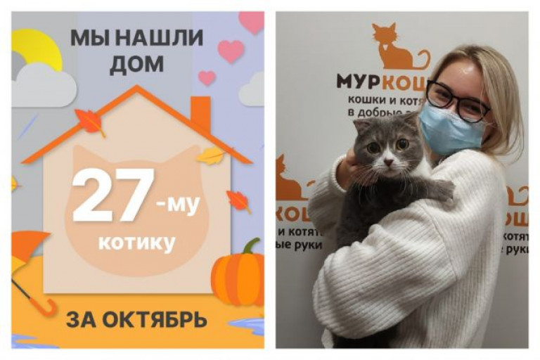 Котик Виласкес начинает новую жизнь!