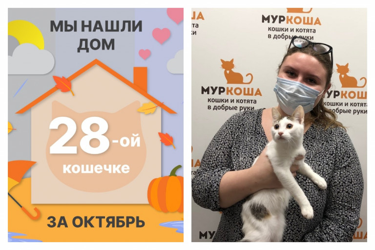 Милая Вермишелька стала домашней!