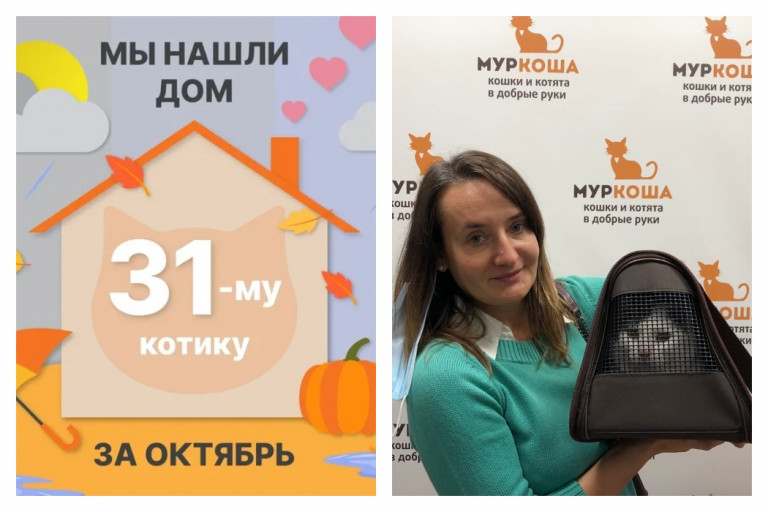 Двухлетний котик Мачик стал домашним любимцем!