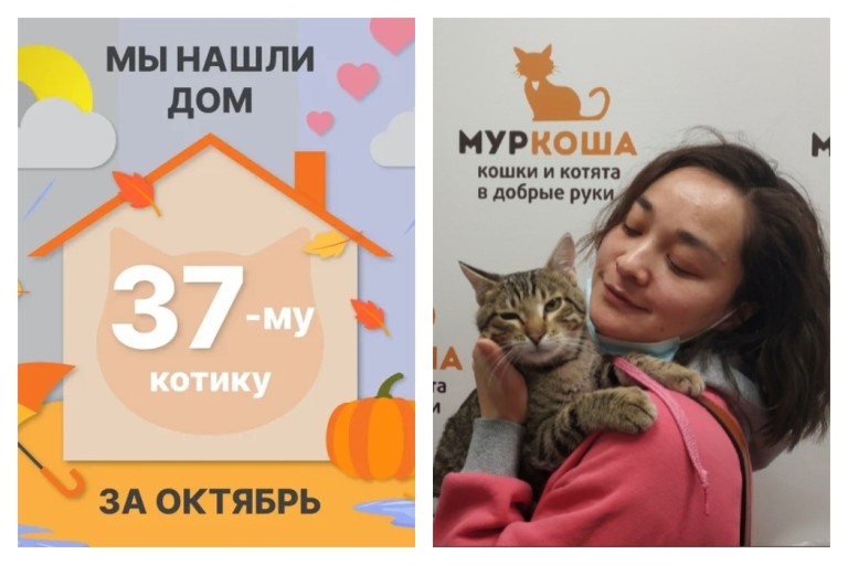 Котик Баксик встретил чудесную хозяйку!