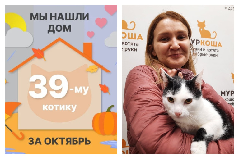 Кот Джуси стал домашним и любимым!